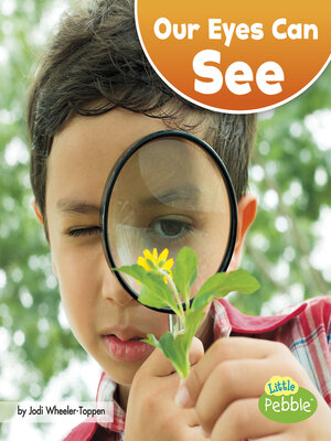 cover image of Our Eyes Can See